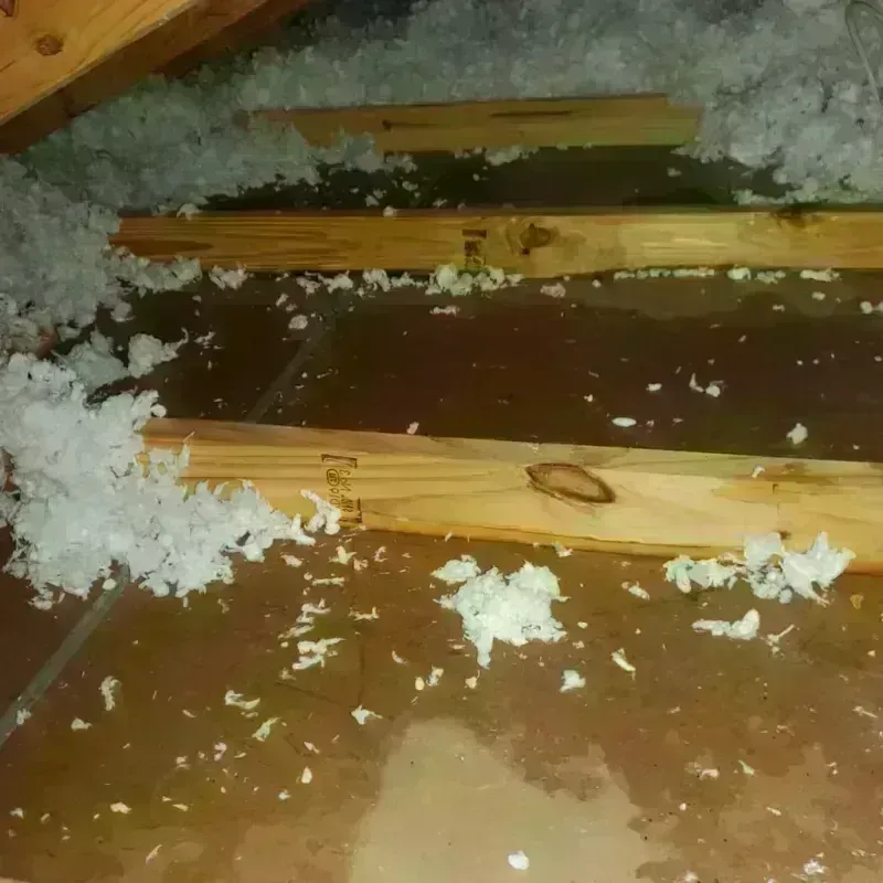 Attic Water Damage in North Bibb, AL